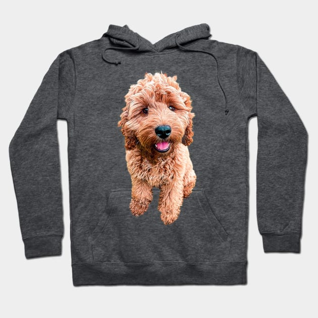 Cockapoo Cavapoo Labradoodle Goldendoodle Doodles Hoodie by Elarex